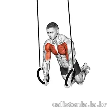 Execução do exercício Flexão nas argolas